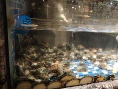-喜庭海鲜自助(北辰三角洲北辰荟店)