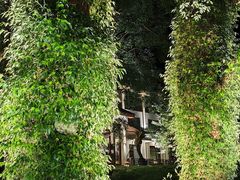 -普陀山雷迪森庄园