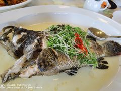 清蒸老虎斑-伯衡55·吉品轩(乌鲁木齐南路店)