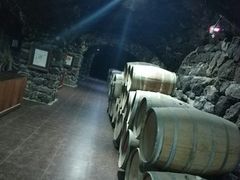 -文成城堡