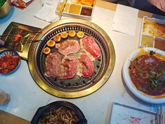 -杨记齐齐哈尔烤肉(总店)