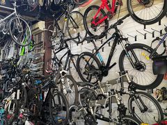 -道路口单车爱瓦士dahon大行