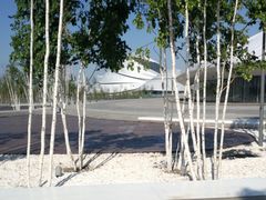 -哈尔滨大剧院