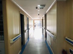 -喜多萌中农锦绣动物医院24H·猫科·牙科MRI·CT