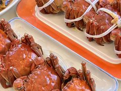 -品鲜村农家菜·阳澄湖大闸蟹(总店)