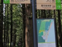 -日照海滨国家森林公园