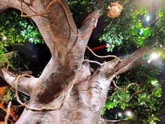 -泰米厨房·地道湘菜(金马坊店)