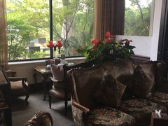 -大可堂普洱茶馆(襄阳南路馆)