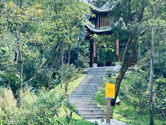 -梧桐山风景名胜区