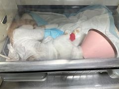 -美美宠物诊疗中心·异宠·骨科(滨江东信分院)