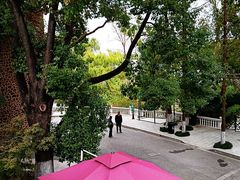 -J Create城市露营咖啡·简餐·宠物(上海动物园店)