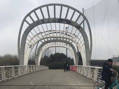 -九里河湿地公园
