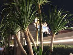 -曼谷王子宫殿酒店