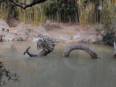 -汇龙潭