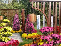 -上海共青森林公园