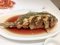 -金春禧(世茂国际广场店)
