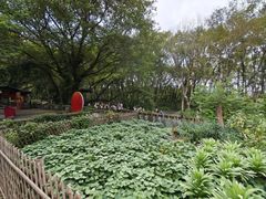-西溪南古村落