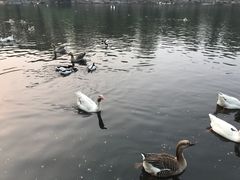 -石家庄市动物园