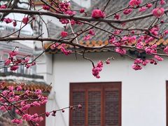 -南岳衡山风景名胜区-南岳大庙