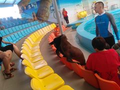 -尼莫海豚馆