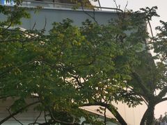 -山顶缆车