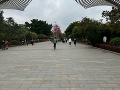 -厦门园林博览苑