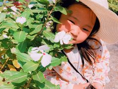 -吐斯廉屠杀博物馆