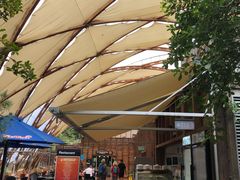 -怀托摩萤火虫洞