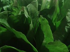 -热火朝天鲜切牛肉火锅(南强街巷店)