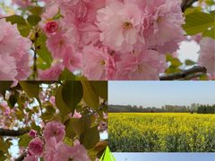 -汉长安城未央宫国家考古遗址公园