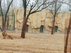 -秦皇岛野生动物园