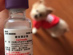 -爱侣宠医·鹦鹉专科·小型哺乳类·异宠专科(灵石路店)