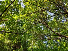 -西南政法大学(渝北校区)