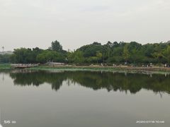 -新江湾城公园