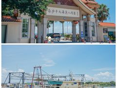 -大湾区中央湿地公园-十九涌