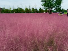 -汉长安城未央宫国家考古遗址公园
