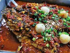 荔枝香辣清江鱼-鱼酷活鱼烤鱼(北美店)
