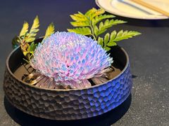 -茶人村·前滩江景雅宴(上海首店)
