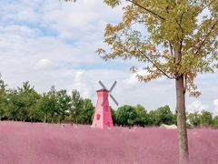 -上海共青森林公园