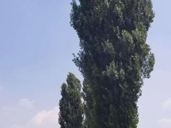 -林栖谷森林康养度假区