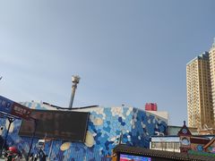 -大连圣亚海洋世界