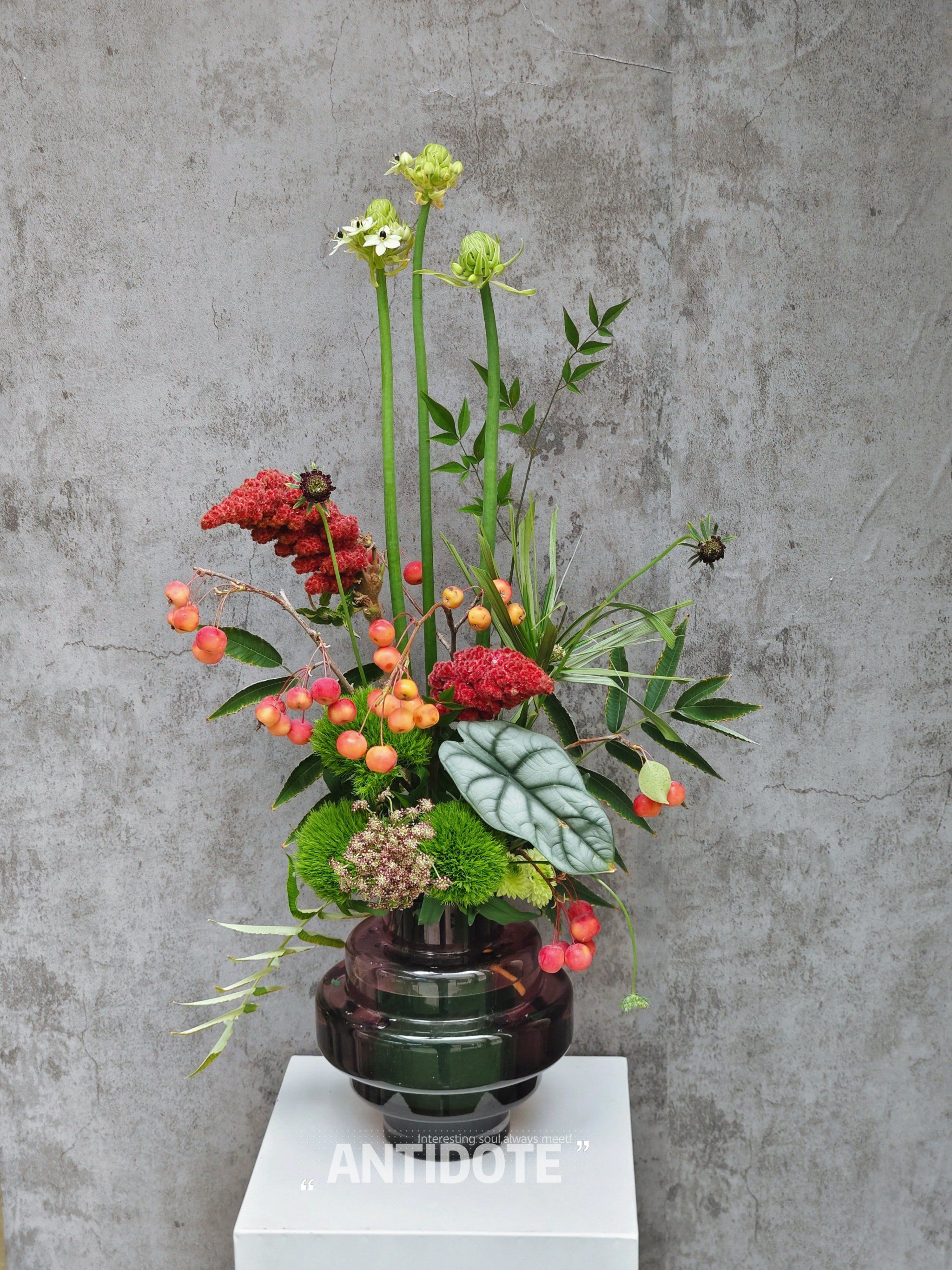 ​今日主题瓶花
​"最美是秋实 秋如是 生命亦如此"
#插花#瓶