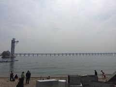 -东财大盘鸡(黑石礁店)