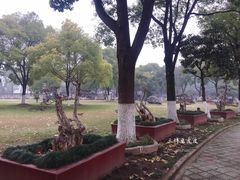 景点-汉水公园