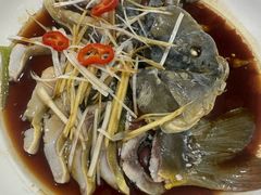 -煲来饱去冷水鱼