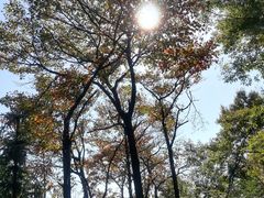 -敬亭山风景名胜区