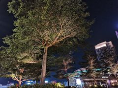 -鱼鼎香烤鱼火锅(华发商都店)
