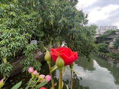 -小河直街历史文化街区