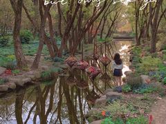 -上海共青森林公园