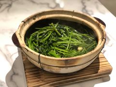 啫啫马拉盏空心菜-粤·啫啫